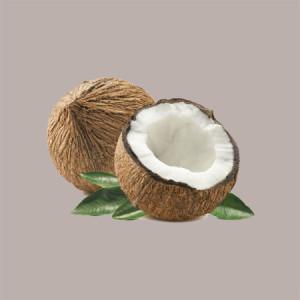 5,5 Kg Crema Spalmabile Loveria al Gusto Cocco Ideale per Gelato Yogurt Leagel [c9c64cf5]