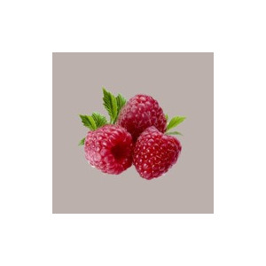 1,55 Kg Polpa Purea di Frutta Gusto Lampone ideale per Gelato Smothies Fruit Cub3 Leagel [1f5b5b05]