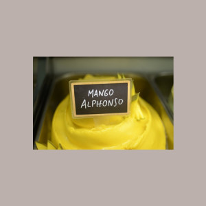 1,25 Kg Speedy Gusto Mango Alphonso con Pezzi Preparato in Polvere per Gelato Comprital