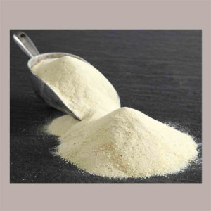 1 Kg Proteine Concentrate del Siero WPC 80% per Gelato Senza Glutine REIRE