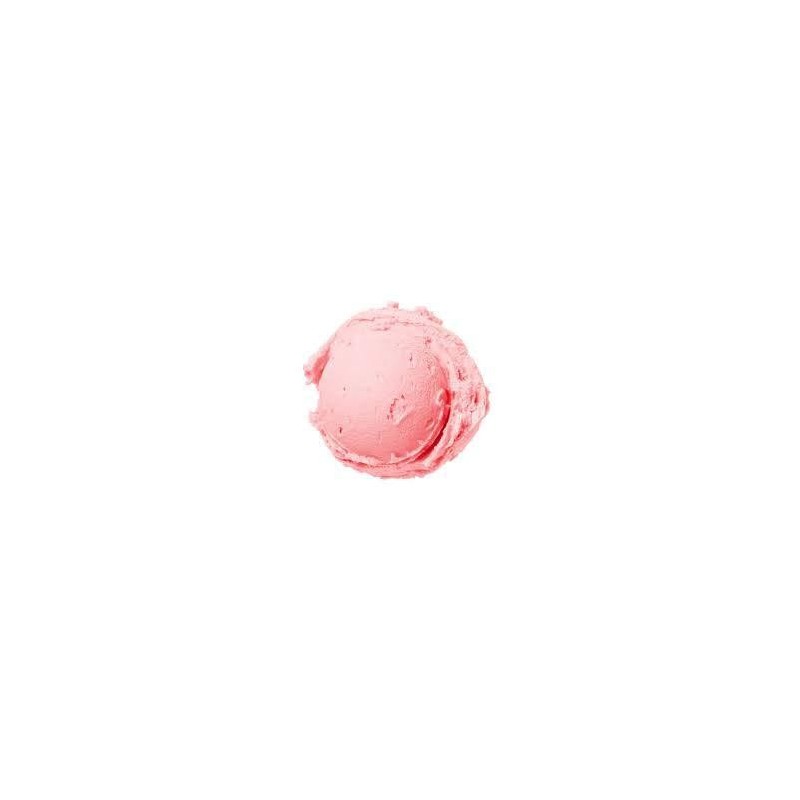 1,25 Kg Easy Pompelmo Rosa Preparato in Polvere ideale per Gelato Leagel [37529ec6]