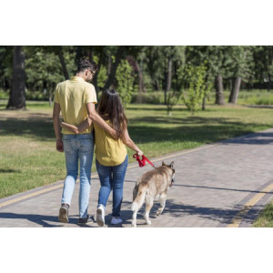 50 Pz Biopaletta Busta per Deiezioni Canine Ideale per Passeggiate con il vostro cane 20x14 cm [ce13e92d]