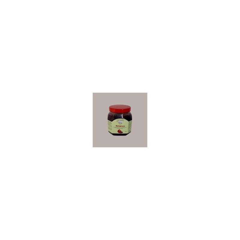 2 Kg Variegato Gusto Melagrana Salsa ideale per Gelato Yogurt Dolci Leagel [d607751b]