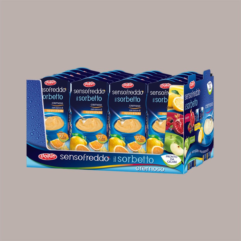 Sorbetto Gusto Agrumi di Sicilia Senso Freddo Pronta da Gelare DOLFIN 12 x 100 Ml (6 astucci da 2) [fc13afed]