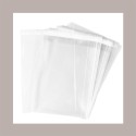 Sacchetti Plastica Trasparenti Moplefan per incarto Alimenti Panettone 1500g o Colomba 1000g 400x480mm 100 Pezzi [b4a85b5d]