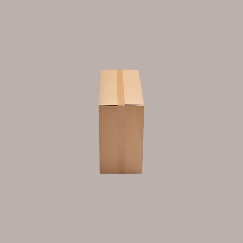 Scatola in Carta Avana Porta 2 Lattine da 5 lt di Olio 25x16x34,5 cm 10 pezzi [be651b3b]