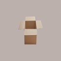 Scatola in Carta Avana Porta 2 Lattine da 5 lt di Olio 25x16x34,5 cm 10 pezzi [bb355c25]