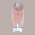 10 Pz Scatola Astuccio Porta 2 Bottiglie 750 ml Olio Vino in Plastica Trasparente 180x90H385mm [85b4dea4]