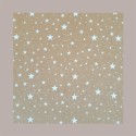 10 Pz Busta Porta 1 Bottiglia 750 ml Olio Vino Carta Marrone grafica Stelle Bianche Galaxy 95x95H380mm [7363a776]