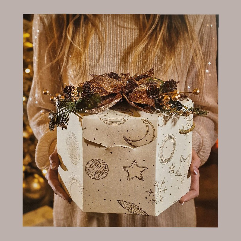 5 Pz Scatola per Confezione Regalo Porta Panettone Bottiglia Valigetta Baulotto in Carta Grafica White 330x250H390mm [eb4be9d8]