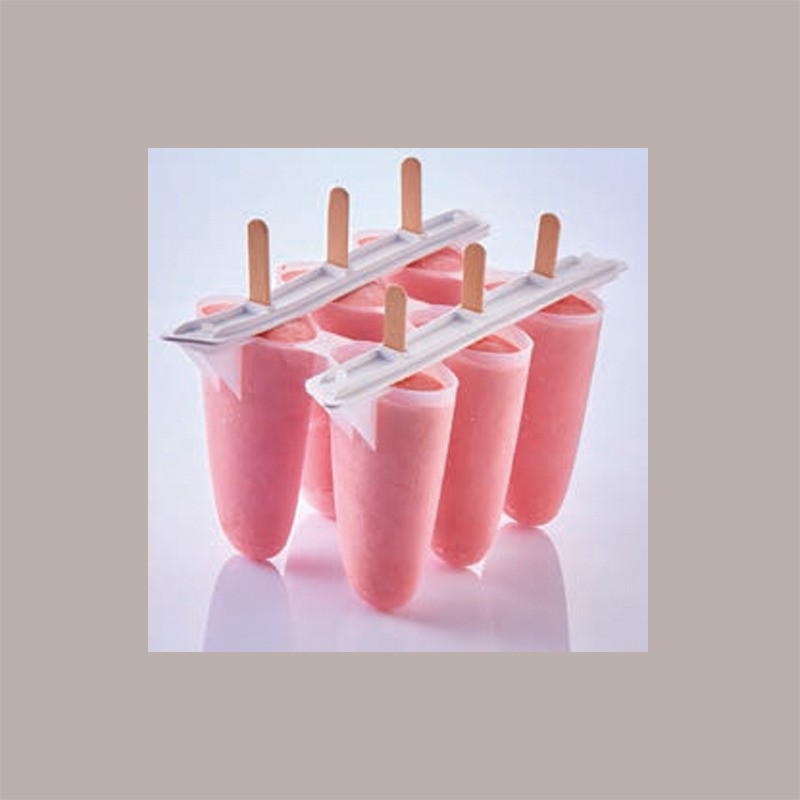 Stampo per Stecco Ghiacciolo Gelato RECOUVERT Riutilizzabile 4x6 pose [545fe64a]