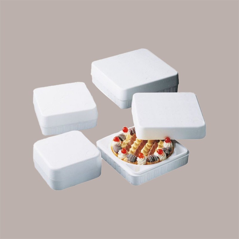4 Pz Termoscatola Quadrata con Interno Tondo Polistirolo Torte Gelato Semifreddi Dm interno 23,5 cm [67d6cd9e]