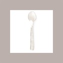 100 Pz Mini Posata Cucchiaino Pulz Spoon Riutilizzabile Trasparente 10 cm [89f3f66a]