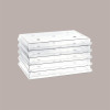 Set Total IGloo Vassoio e Coperchio Trasparente da Esposizione 60x40H5,5 cm [1919506c]