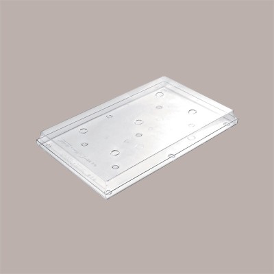 Set Total IGloo Vassoio e Coperchio Trasparente da Esposizione 60x40H8,5 cm [f5de4d7a]