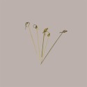 300 Pezzi Ricciolo Spiedino Knot cm10,5 Natural Bamboo Legno [8a5922a6]