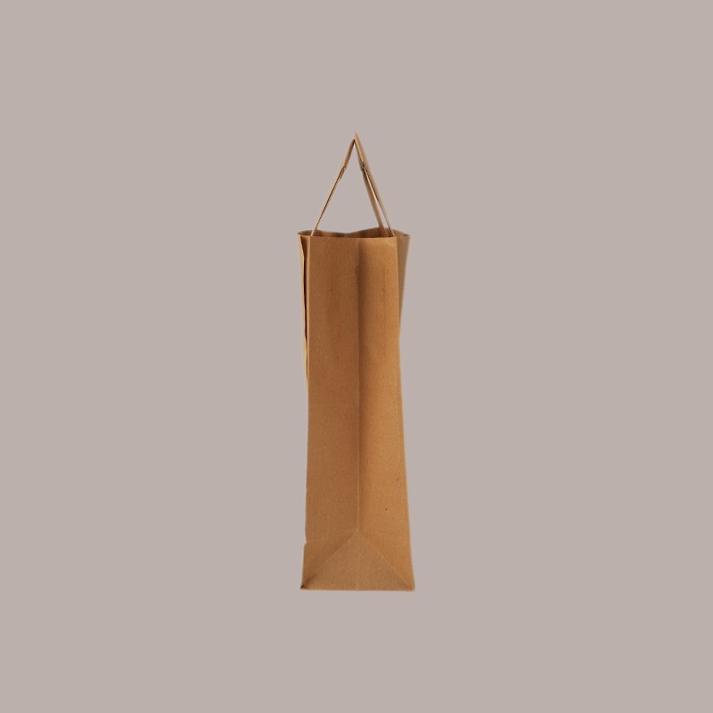 50 Pz Borsa Shoppers Carta Avana Eco 100 gr Manico Pattina 16+8x23cm [aea45aea]