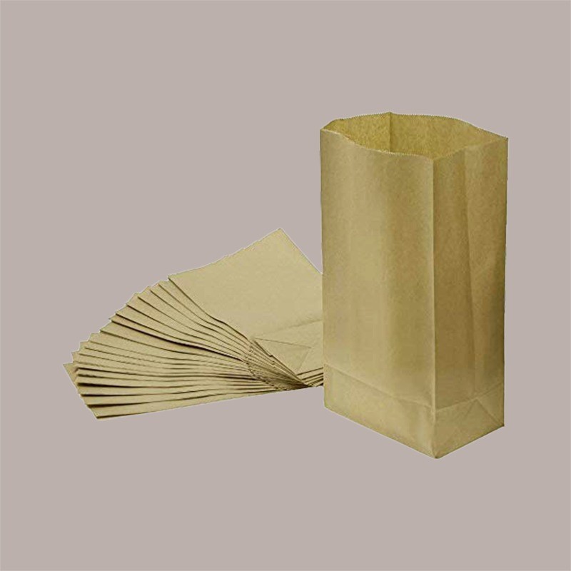 Sacco Carta Marrone 33 Litri Raccolta Differenziata  2 Fogli Super Resistente 32+17H61 cm 25 Pezzi [067ab3c6]