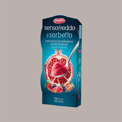 Sorbetto Melograno Frutti Bosco Senso Freddo Pronta da Gelare Dolfin 12 Pezzi da 100 Ml (6 astucci da 2) [e94e8dff]
