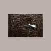 Gocce di Cioccolato Fondente Piccole ideali per cottura Callebaut 10 Kg [4e15f0ff]