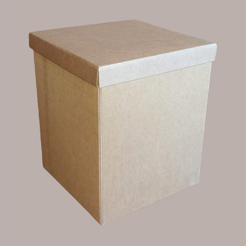 Scatola Baule con Coperchio Carta Onda Avana 300x300H300 mm 5 Pezzi [3ca23016]