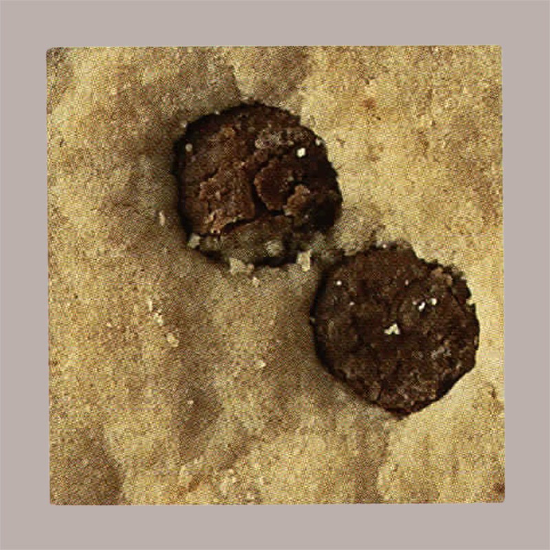 Biscotto Gelato Rotondo con Gocce di Cioccolato Mini Cioccogel Break&Go 540 pezzi [fe93ec5f]