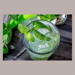 Sciroppo per Granita Gusto Menta Grande Consumo Toschi 3 Kg