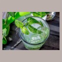 Sciroppo per Granita Gusto Menta Grande Consumo Toschi 3 Kg [dbd7f7dd]