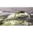 Glicerina E422 Emulsionante Alimentare 1 Kg [f78371f5]