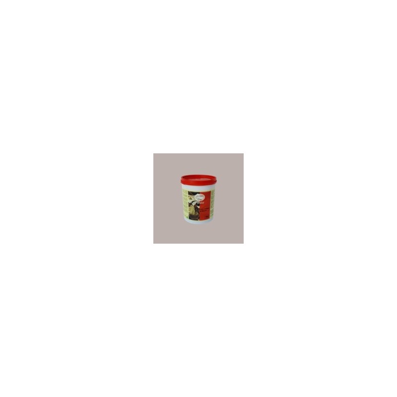 Pasta Gusto Croccantino al Rhum ideale per Gelato Dolci Leagel 1,2 Kg [7906e00d]