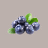 Topping al Gusto Mirtilllo Salsa Dolce ideale per Gelato Dessert Yogurt Leagel 1 Kg [ca7bf0b0]