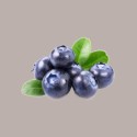 Variegato gusto Mirtillo con Pezzi Salsa per Gelato Yogurt Dessert Leagel 2 Kg [0be953fe]