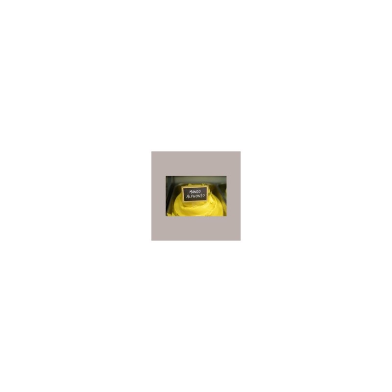 Polpa Purea di Frutta Gusto Mango Alphonso ideale per Gelato Smothies  Fruit Cub3 Leagel 1,55 Kg [29ce3351]