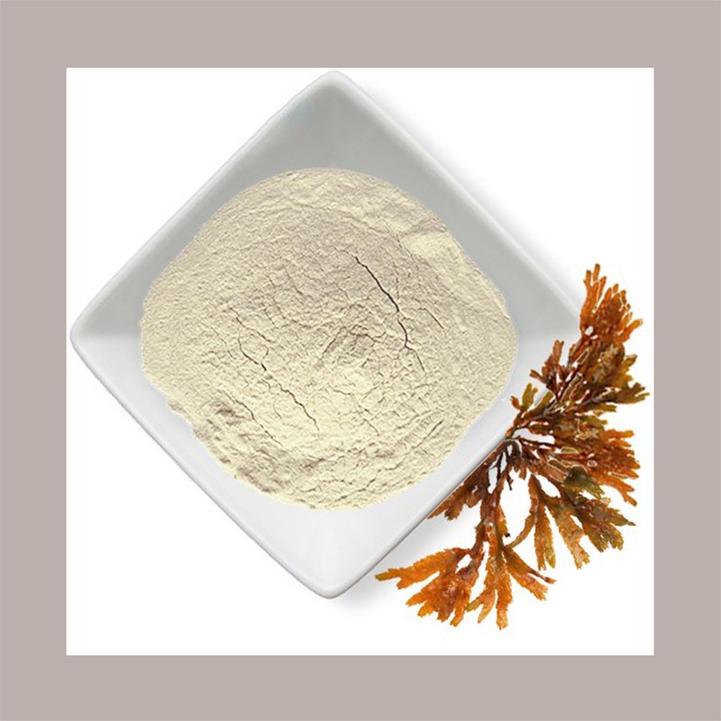 Alginato di Sodio E401 Addensante Emulsionante Reire 1 Kg [dc1e6513]