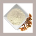 Alginato di Sodio E401 Addensante Emulsionante Reire 1 Kg [dc1e6513]