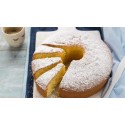 Stampo Forma Cottura in Carta Forno Usa e Getta per Ciambella 350gr Dm185H40mm 10 pezzi [cc041aa9]
