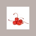 Ciliegie Rosse con Gambo Lungo allo Sciroppo Toschi 1,2 Kg [24b0eff3]