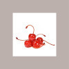 Ciliegie Rosse con Gambo Lungo allo Sciroppo Toschi 1,2 Kg [24b0eff3]