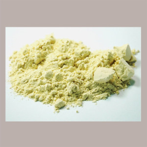 Fibra di Pisello REIRE Agente Legante per Sughi e Ripieni Senza Glutine 1 Kg [4f54bb27]