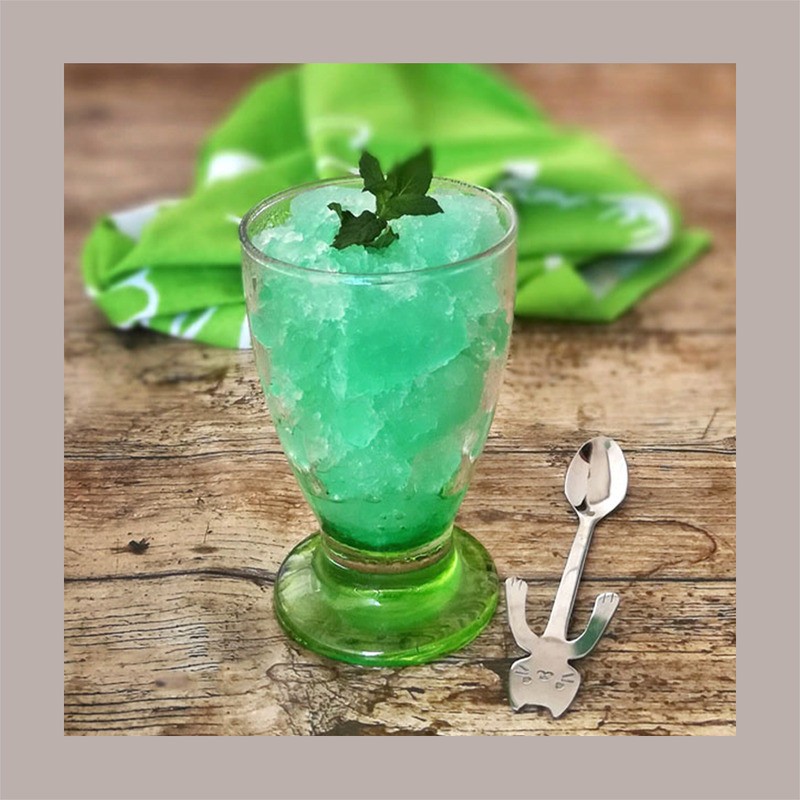 Granita Siciliana al Gusto Menta Senso Freddo Pronta da Gelare Dolfin 12 x 100 Ml  (6 astucci da 2) [e877514b]
