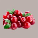 Sciroppo Concentrato per Granita Gusto Cranbarry Mirtillo Rosso Mixybar Fabbri 1,3 Kg [fd63ace9]