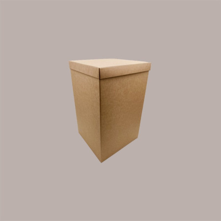 Scatola Baule + Coperchio Carta Avana Liscio 300x300x500 mm 1 pezzo [3126dd16]