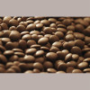 Cioccolato Fondente di Copertura 811 in Bottoni Callebaut 1 Kg [d4970e57]