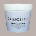 Crema Spalmabile Farcitura Gusto Nocciola e Cacao Cremosette Leagel 5,5 Kg [0c29cda1]
