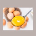 Tuorlo d'Uovo Zuccherato 50% Stabilizzato EUROVO Brik da 1,25 Kg [2a86e159]
