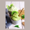 Easy Gusto Mela Kiwi e Avocado Preparato in Polvere ideale per Gelato Leagel 1,25 Kg [252797bd]