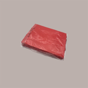 Shopper Porta Panettone Rossa Lusso Opaca 24,5x24,5x33,5 cm 10 pezzi [136efcc4]