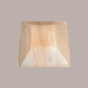 Ciotola Piatto Fondina Quadrato Foglia Palma Bio 160x160H45 mm 25 Pz