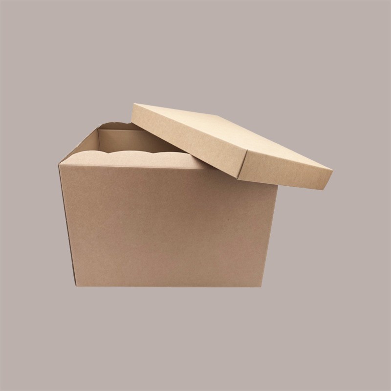Scatola Baule con Coperchio Carta Avana Liscio 490x340H340 mm 2 pezzi [7396ec67]