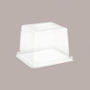 Mini Vassoio Quadrato per piccoli Dolci Dessert Monoporzione Quadrato Oro Medoro + Coperchio 12x12H8cm Alcas 100 pezz [f29e7942]
